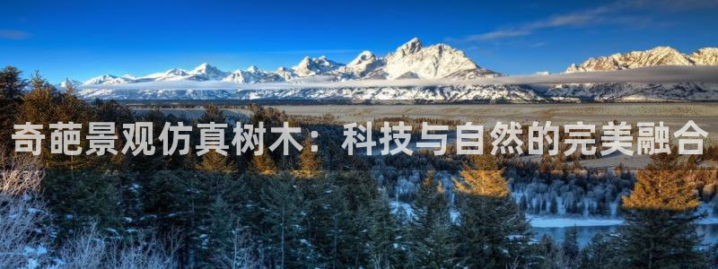 新宝gg真的能赚钱么