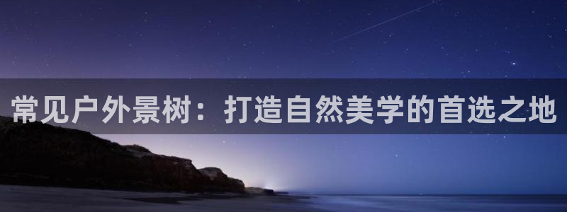 新宝gg下载官网下载