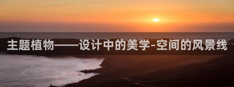 新宝gg计划
