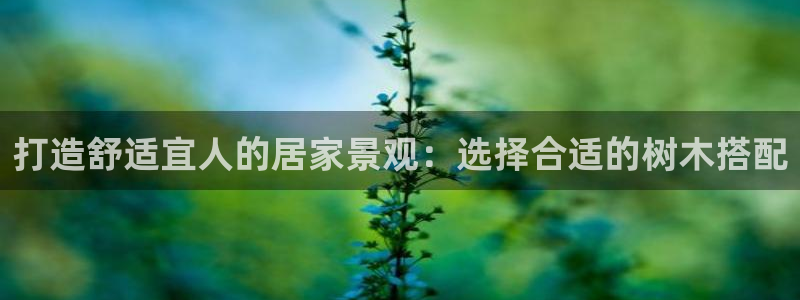 新宝gg开户流程
