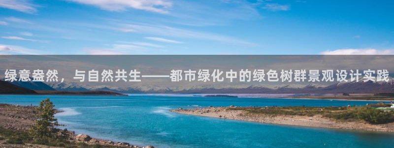 怎么代理新宝gg