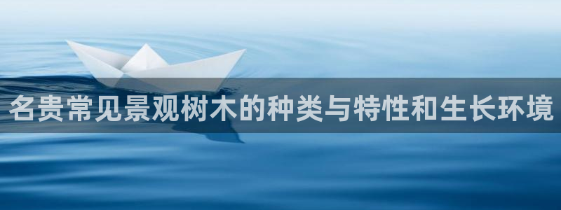 新宝gg为什么没人管