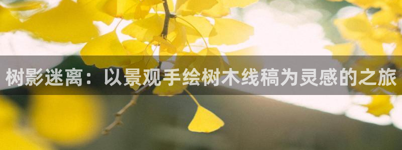 新宝gg网投