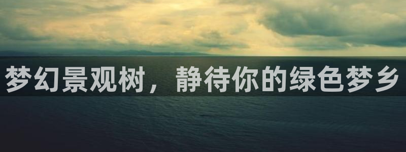 新宝gg找回账号