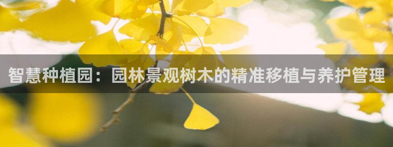 手机新宝gg
