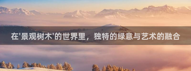 新宝gg联系
