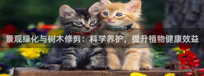 新宝GG朔78778：景观绿化与树木修剪：科学养护，提升植物健康效益