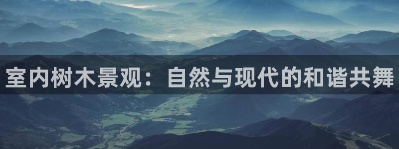 新宝gg龙虎规则