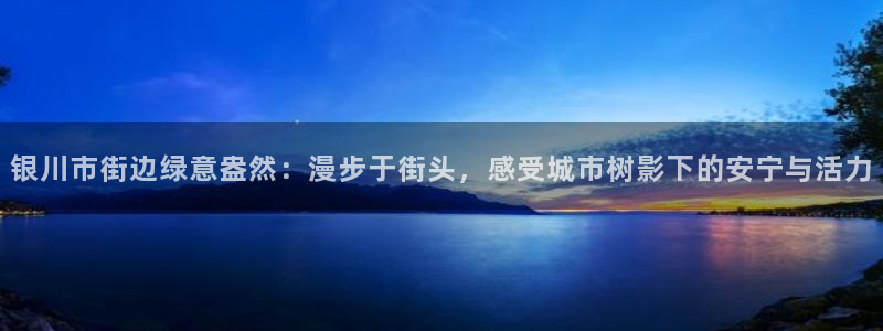 新宝gg 创造：银川市街边绿意盎然：漫步于街头，感受城市树影下的安宁与活力