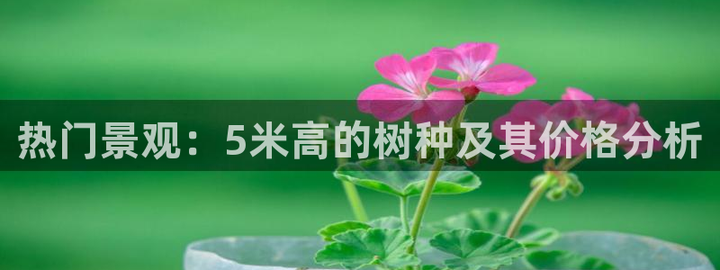 新宝gg金砖彩票：热门景观：5米高的树种及其价格分析