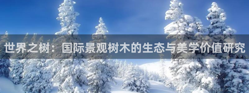 【新宝gg】