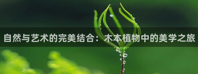 新宝gg如何登录：自然与艺术的完美结合：木本植物中的美学之旅
