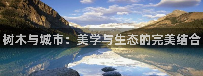 新宝gg娱乐平台