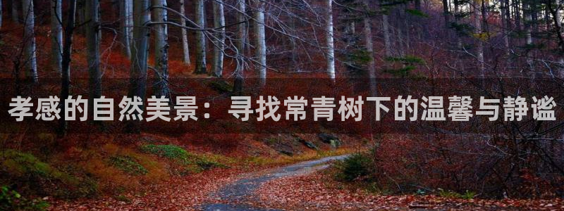 新宝gg手机登录：孝感的自然美景：寻找常青树下的温馨与静谧