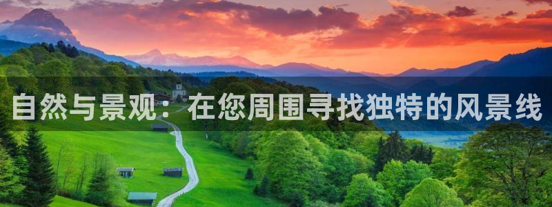新宝gg平