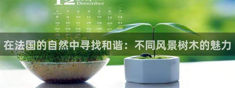 新宝gg平台反水