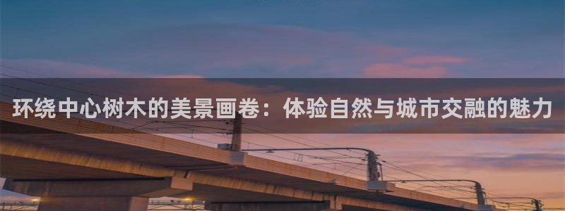 新宝gg专线