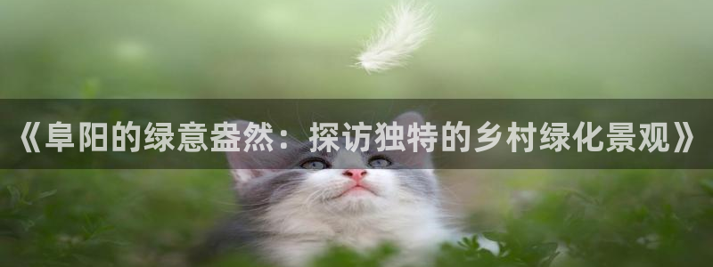 新宝gg创造奇迹平台