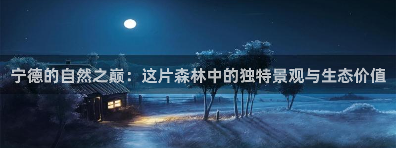 新宝gg—创造