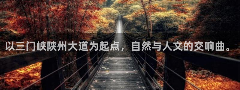 新宝gg龙腾