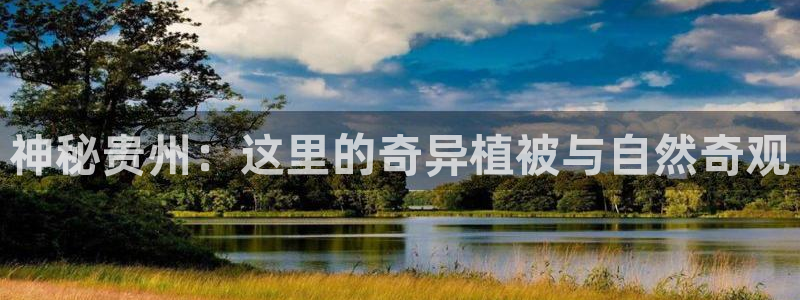 新宝GG—创造奇迹