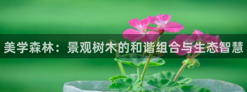 菲律宾新宝gg娱乐