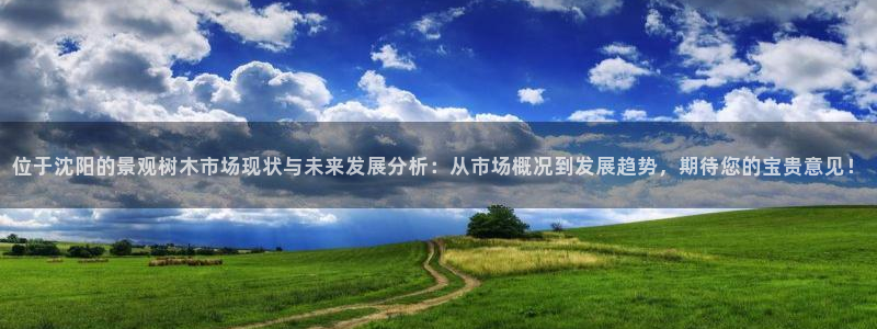 新宝gg找回账号