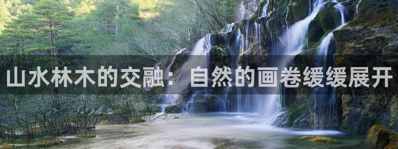 新宝gg-创业奇迹