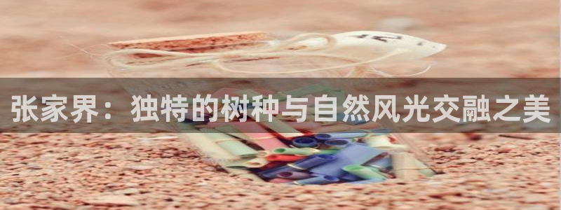 正版新宝gg