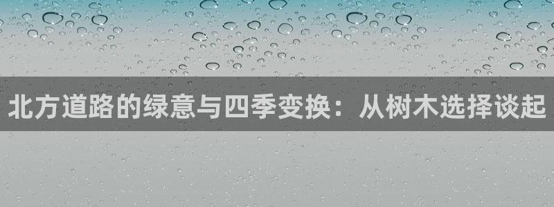 新宝GG创业奇迹