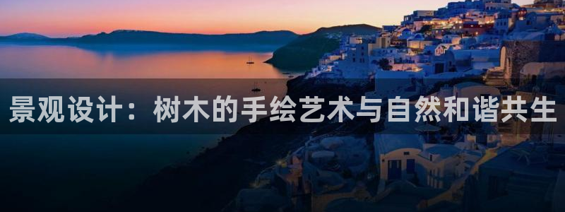 新宝gg资料