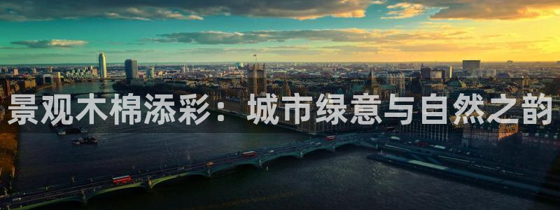 新宝gg平台怎么样