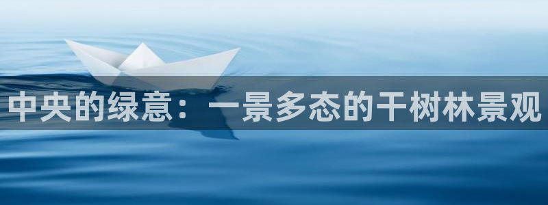 新宝gg账号：中央的绿意：一景多态的干树林景观