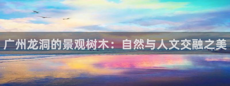 新浪新闻新宝gg