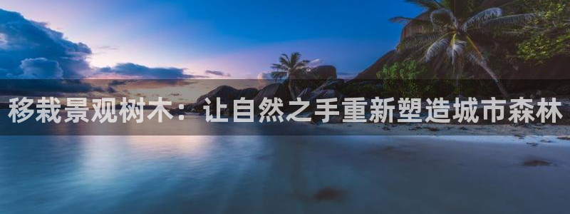 新宝gg申请账号：移栽景观树木：让自然之手重新塑造城市森林