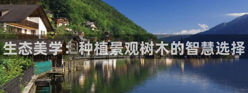 新宝gg运营88383