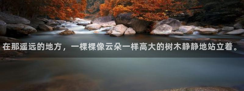 新宝GG主管41333