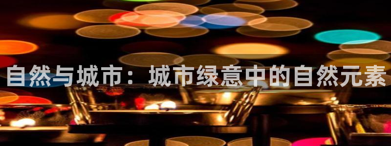 新宝gg什么