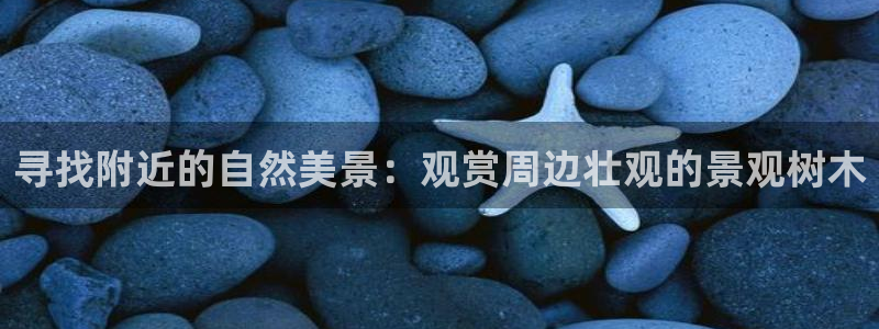 新宝gg娱乐：寻找附近的自然美景：观赏周边壮观的景观树木