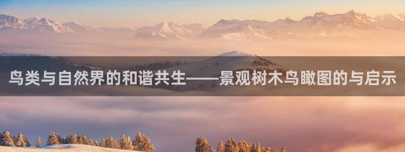新宝gg游戏平台