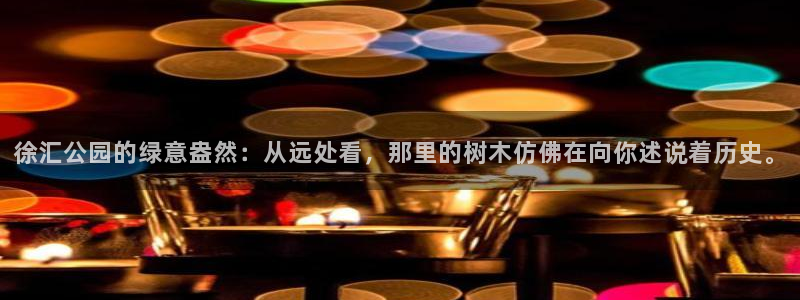 新宝gg 首页：徐汇公园的绿意盎然：从远处看，那里的树木仿佛在向你述说着历史。