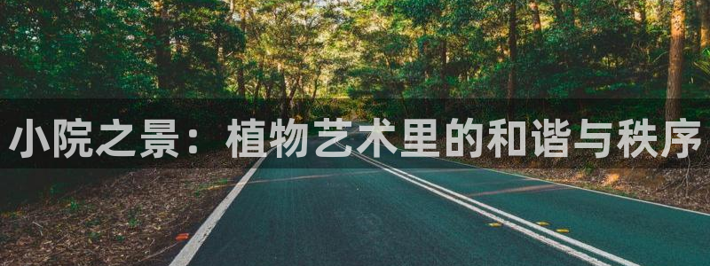 新宝g新宝gg