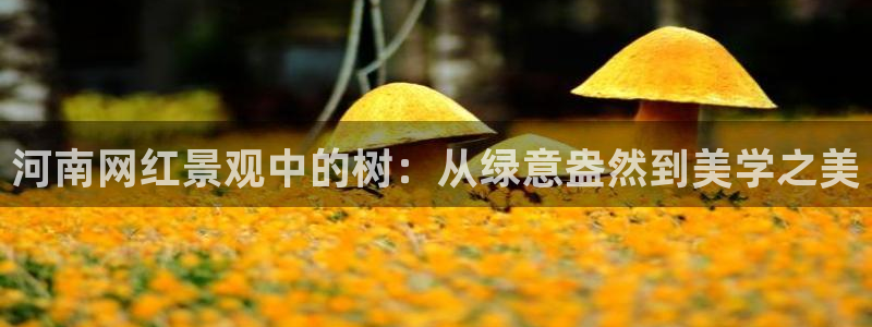 新宝gg娱乐怎么样