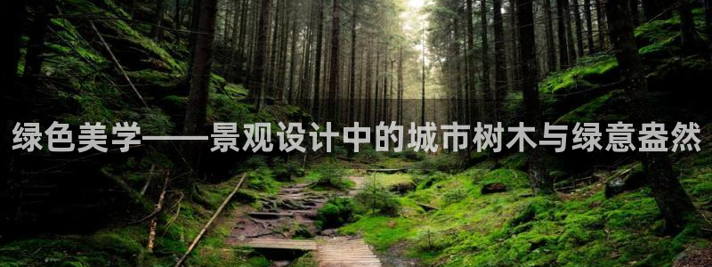 新宝gg官方下载