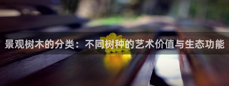 新浪新闻新宝gg