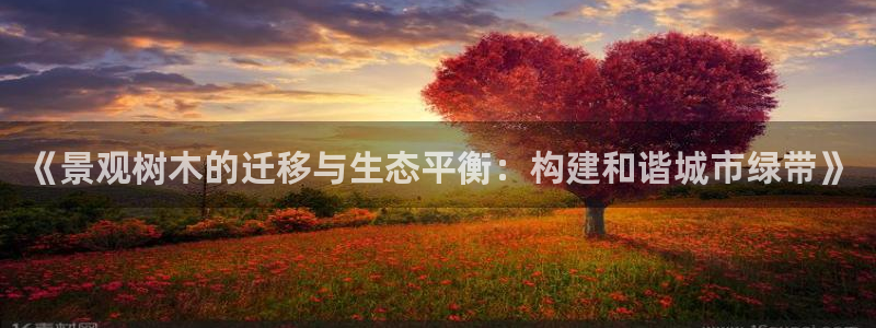 新宝gg龙虎规则