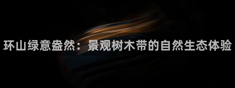 新宝GG创造奇