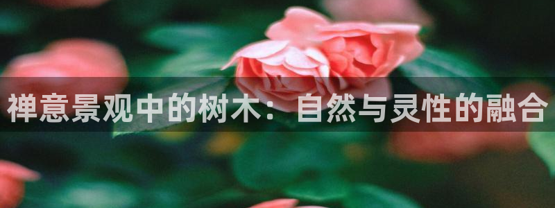 新宝gg重