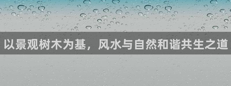 新宝GG都有哪些计划