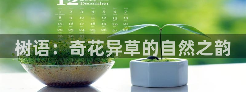 关于新宝GG